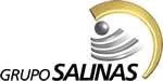 Grupo Salinas