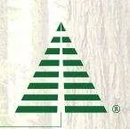 Lone Pine Capital