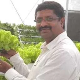 Sairam Reddy