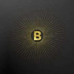Brilliant Ventures