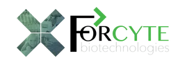 Forcyte Biotechnologies