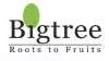 Bigtree Entertainment