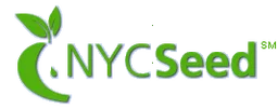 NYC Seed, VC Fund