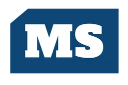 Monetization Solutions, Inc.