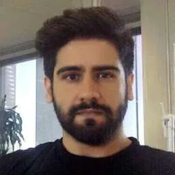 C. Serkan Baydin