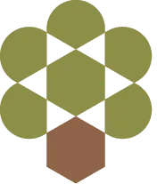 Olive Tree Capital