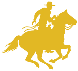 Access Venture Partners