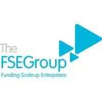 The FSE Group