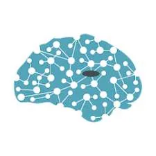 Thalamus