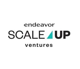Scale-Up Ventures