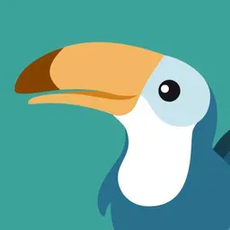 Toucan