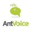 AntVoice