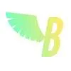 Brave Ventures
