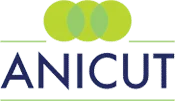 Anicut Capital