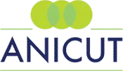 Anicut Capital