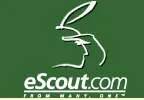 eScout.com