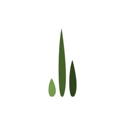 Seae Ventures