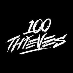 100 Thieves