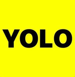 YOLO