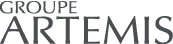 Groupe Artémis