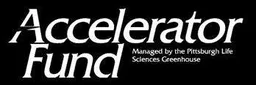 Accelerator Fund
