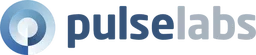 Pulse Labs - The Best Insights Have a Pulse