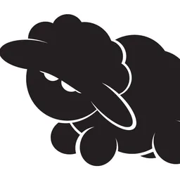 Black Sheep Capital