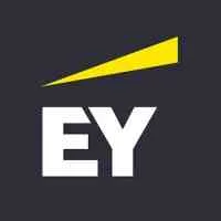 Ernst & Young, VC Fund