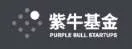 Purple Bull Startups
