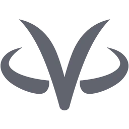 VirtualZ Computing