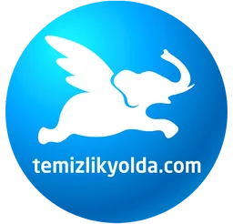 Temizlikyolda