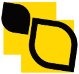 VSight