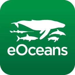 Eoceans Research and Consulting