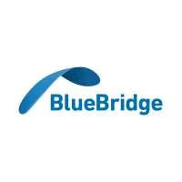 Blue Bridge Code