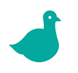 Pijon