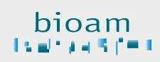 Bioam Gestion
