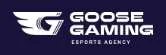 Goose Gaming
