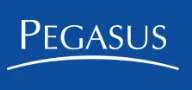Grupo Pegasus
