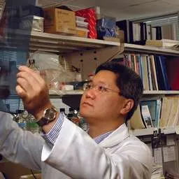 Brendan Lee