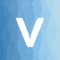 Venturi Partners