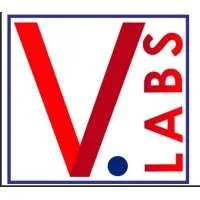Vigilent Labs