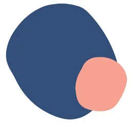 Paloma Health