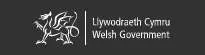 The Welsh Government