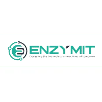 Enzymit