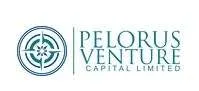 Pelorus Venture Capital