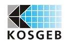 Kosgeb