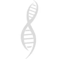 Julius Technologies