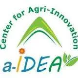 a-IDEA