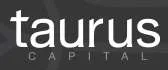 Taurus Capital, VC Fund