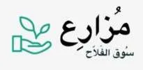 Mozare3
